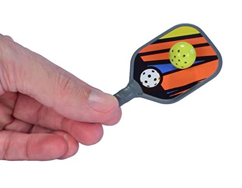 Worlds Smallest Pickleball Set - Actually Playable!