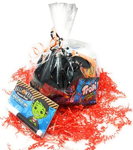 Spooky Halloween Activity and Treat Bag for Kids - Premade - Filled with Fun Activities, Toys and Candy